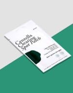 Petitfee Centella Clearing Spot Patch