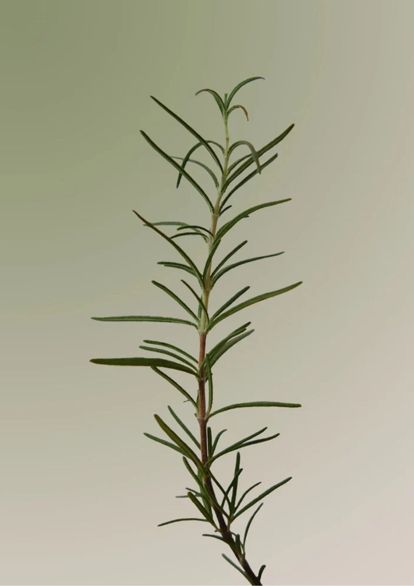 130