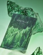 SKIN1004 MADAGASCAR CENTELLA TEA-TRICA RELAXING MASK