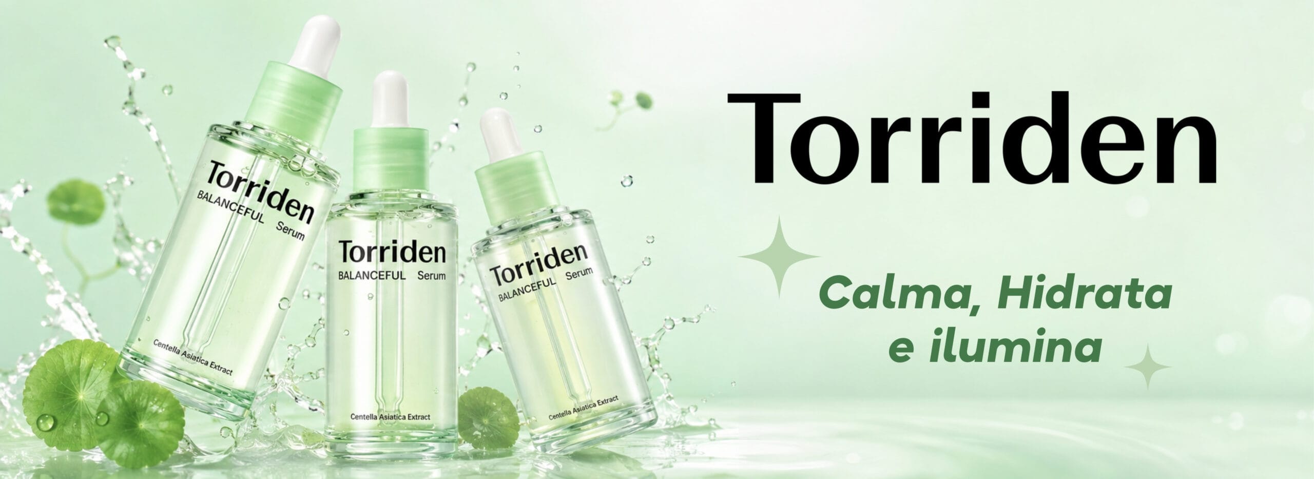 torriden web.jpg (1)
